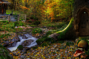 Картинка природа лес дом листья склон деревья фонарь дверь грибы