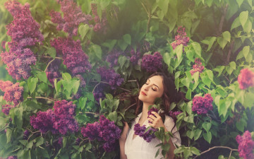 Картинка девушки -unsort+ лица +портреты цветы наслаждение природа девушка листья аромат цветет сирень весна