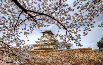 Картинка осака города -+дворцы +замки +крепости весна сакура замок