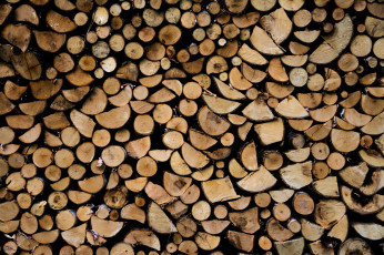 Картинка разное текстуры древесина дрова фон
