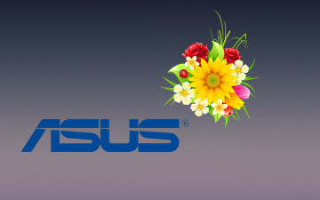 Картинка компьютеры asus фон цветы логотип