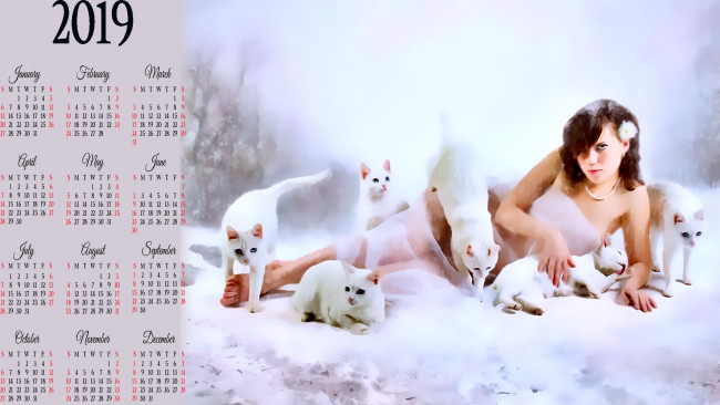 Обои картинки фото календари, фэнтези, белый, кошка, девушка, взгляд, цветок