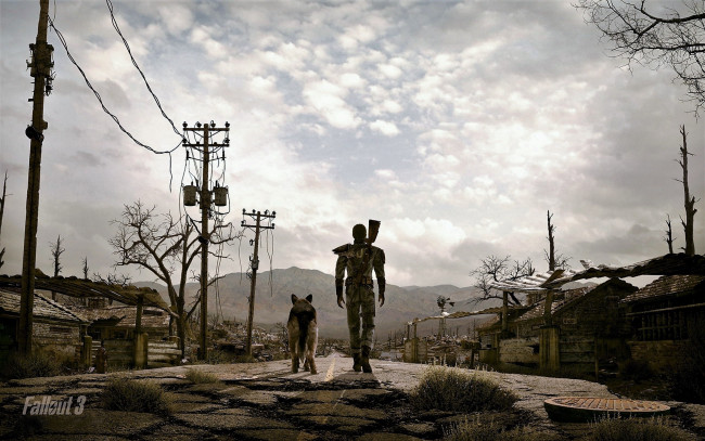 Обои картинки фото видео игры, fallout 3, мужчина, собака, улица, постапокалипсис