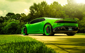 обоя автомобили, lamborghini, зеленый, дорога, лужайка, деревья