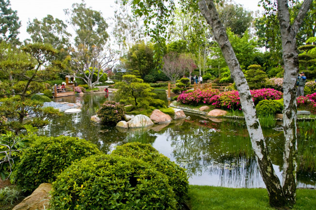 Обои картинки фото miller, japanese, garden, природа, парк, сша, калифорния