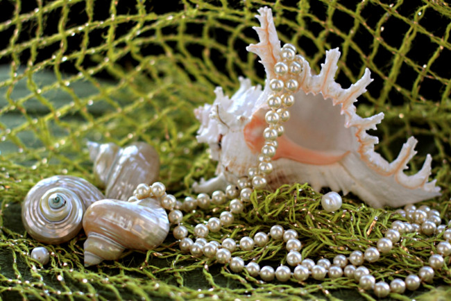 Обои картинки фото разное, ракушки, кораллы, декоративные, spa, камни, ожерелье, жемчуг