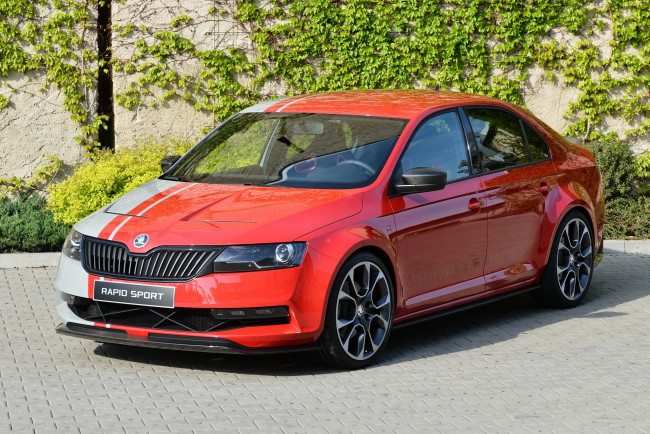 Обои картинки фото 2013, skoda, rapid, sport, автомобили