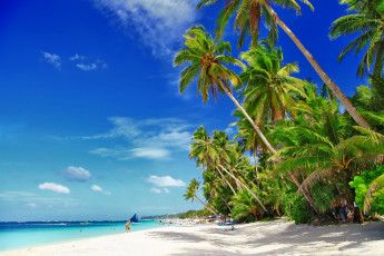 Картинка boracay+island +philippines природа тропики boracay philippines боракай филиппины море пляж пальмы песок