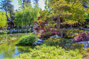 Картинка калифорния+сан+марино природа парк кусты цветы пруд сад сан марино калифорния деревья