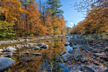 Картинка природа реки озера камни река лес осень