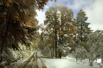 Картинка природа дороги зима снег деревья