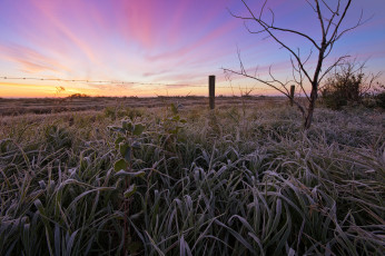 Картинка природа восходы закаты поле трава иней заря