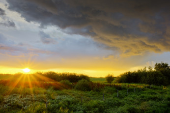 Картинка природа восходы закаты поле трава тучи солнце свет
