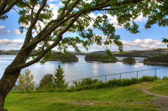 Картинка норвегия+берген природа реки озера bergen река берген норвегия деревья лето