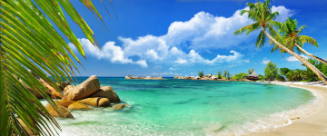 Картинка seychelles природа тропики пляж побережье индийский океан сейшельские острова indian ocean камни пальмы