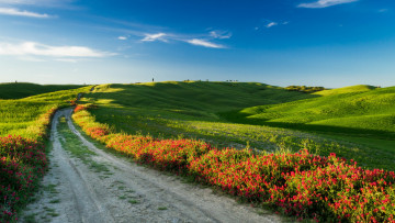 Картинка природа дороги пейзаж поле italy tuscany