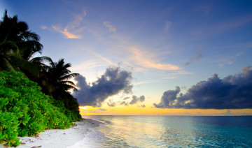 Картинка природа тропики кустарники пальмы облака море пейзаж