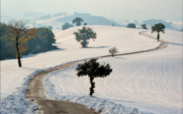 Картинка природа зима снег дорога поле