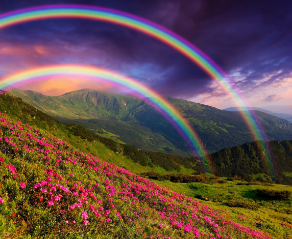 Обои картинки фото природа, пейзажи, пейзаж, горы, цветы, радуга, nature, landscape, mountains, flowers, rainbows
