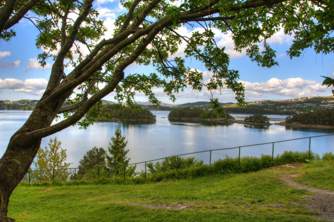 Обои картинки фото норвегия берген, природа, реки, озера, bergen, река, берген, норвегия, деревья, лето