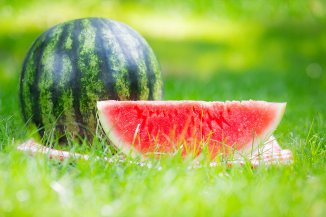 Обои картинки фото еда, арбуз, cloves, grass, watermelon, дольки, nature, травка, природа