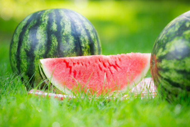 Обои картинки фото еда, арбуз, cloves, watermelon, grass, nature, дольки, травка, природа
