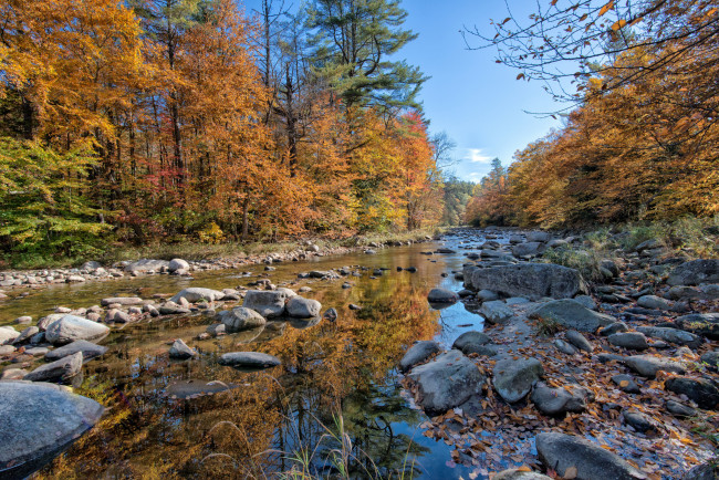 Обои картинки фото природа, реки, озера, камни, река, лес, осень