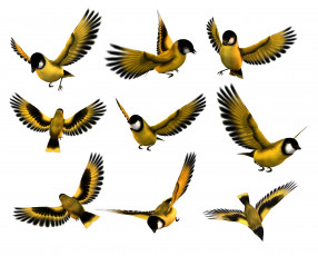 Картинка векторная+графика птицы+ птицы