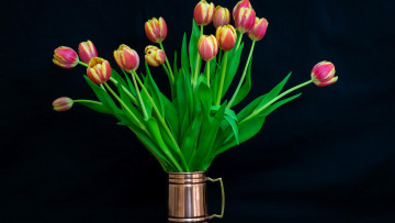 Картинка цветы букеты +композиции тюльпаны букет флора чёрный фон