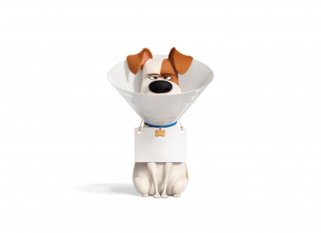 Обои картинки фото мультфильмы, the secret life of pets 2, the, secret, life, of, pets, 2