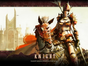 Картинка видео игры knight online