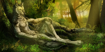 Картинка фэнтези оборотни волк лес деревья оборотень