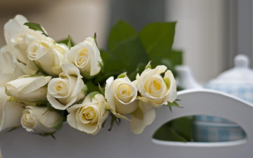 Картинка цветы розы белые букет