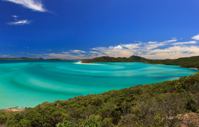 Обои картинки фото австралия, природа, побережье, облака, деревья, водоем