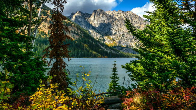 Обои картинки фото jenny lake, grand tetons, wyoming, природа, реки, озера, jenny, lake, grand, tetons