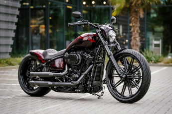 обоя мотоциклы, harley-davidson, softial, brakout, 114, burning, skull, customized, custombikes