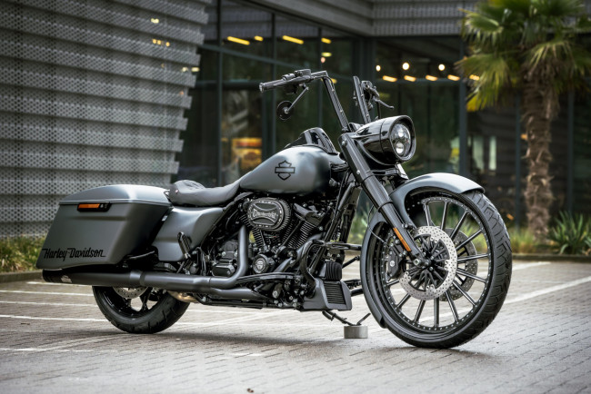 Обои картинки фото мотоциклы, harley-davidson, road, king, special, phantom, customized, custombikes