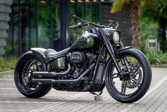 Обои картинки фото мотоциклы, harley-davidson, softail, fat, boy, 114, raptor, force, customized, custombikes