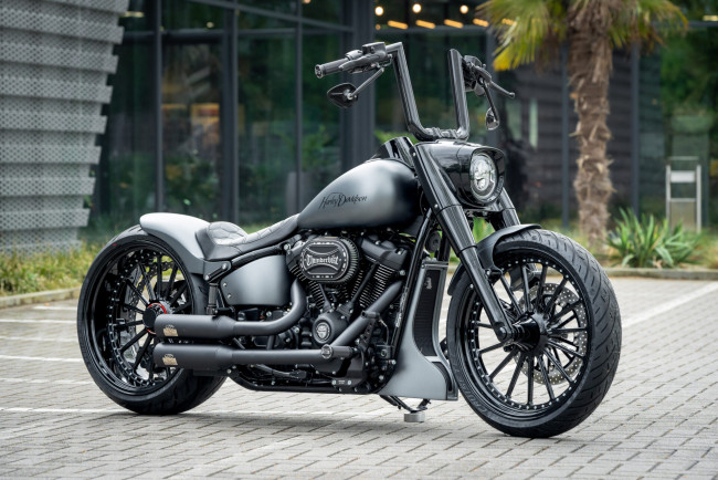 Обои картинки фото мотоциклы, harley-davidson, softail, fat, boy, silver, blast, customized, custombikes