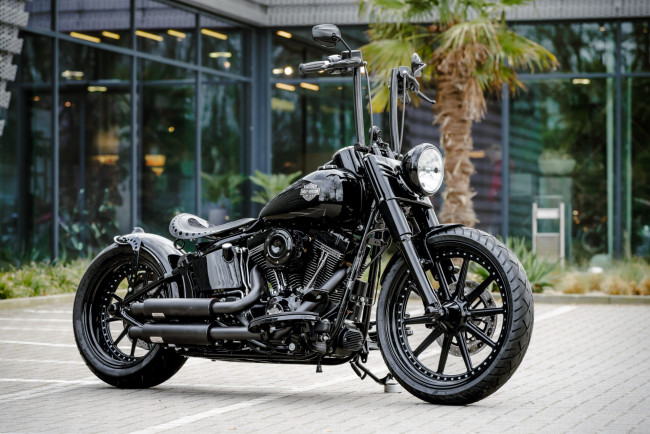 Обои картинки фото мотоциклы, harley-davidson, softail, slim, s, dark, hopper, customized, custombikes