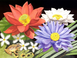 Картинка рисованные цветы