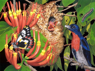 Картинка рисованные животные птица птенец бабочка