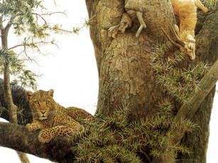 Картинка животные леопарды леопард рисунок добыча