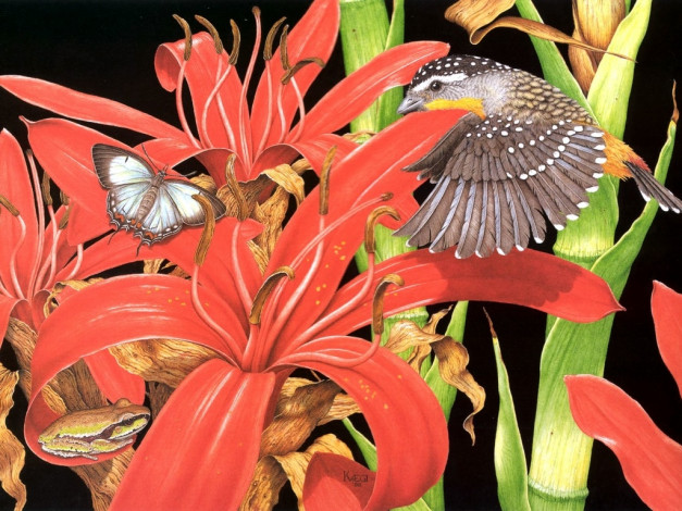 Обои картинки фото рисованные, животные, птица, бабочка