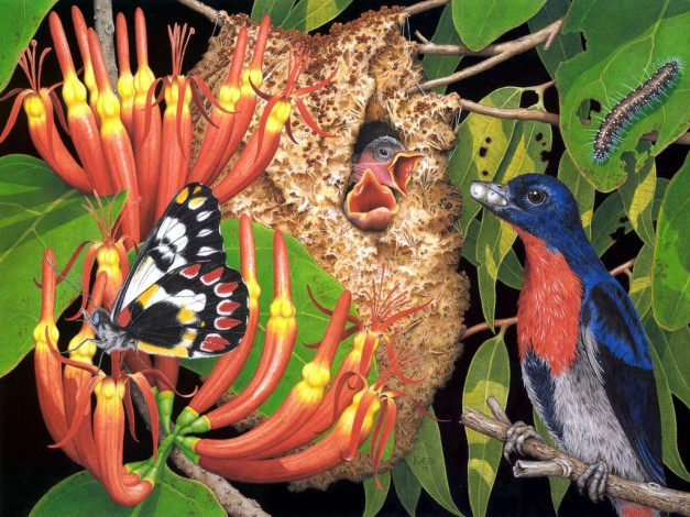 Обои картинки фото рисованные, животные, птица, птенец, бабочка