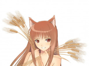 Картинка аниме spice and wolf