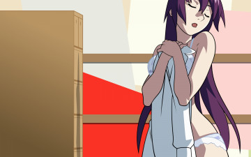 Картинка аниме bakemonogatari senjougahara+hitagi девушка нижнее+белье рубашка комната
