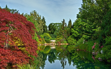 Картинка природа парк деревья пруд