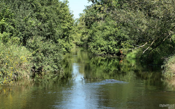 Картинка природа реки озера деревья река