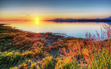 Картинка природа восходы закаты озеро трава закат
